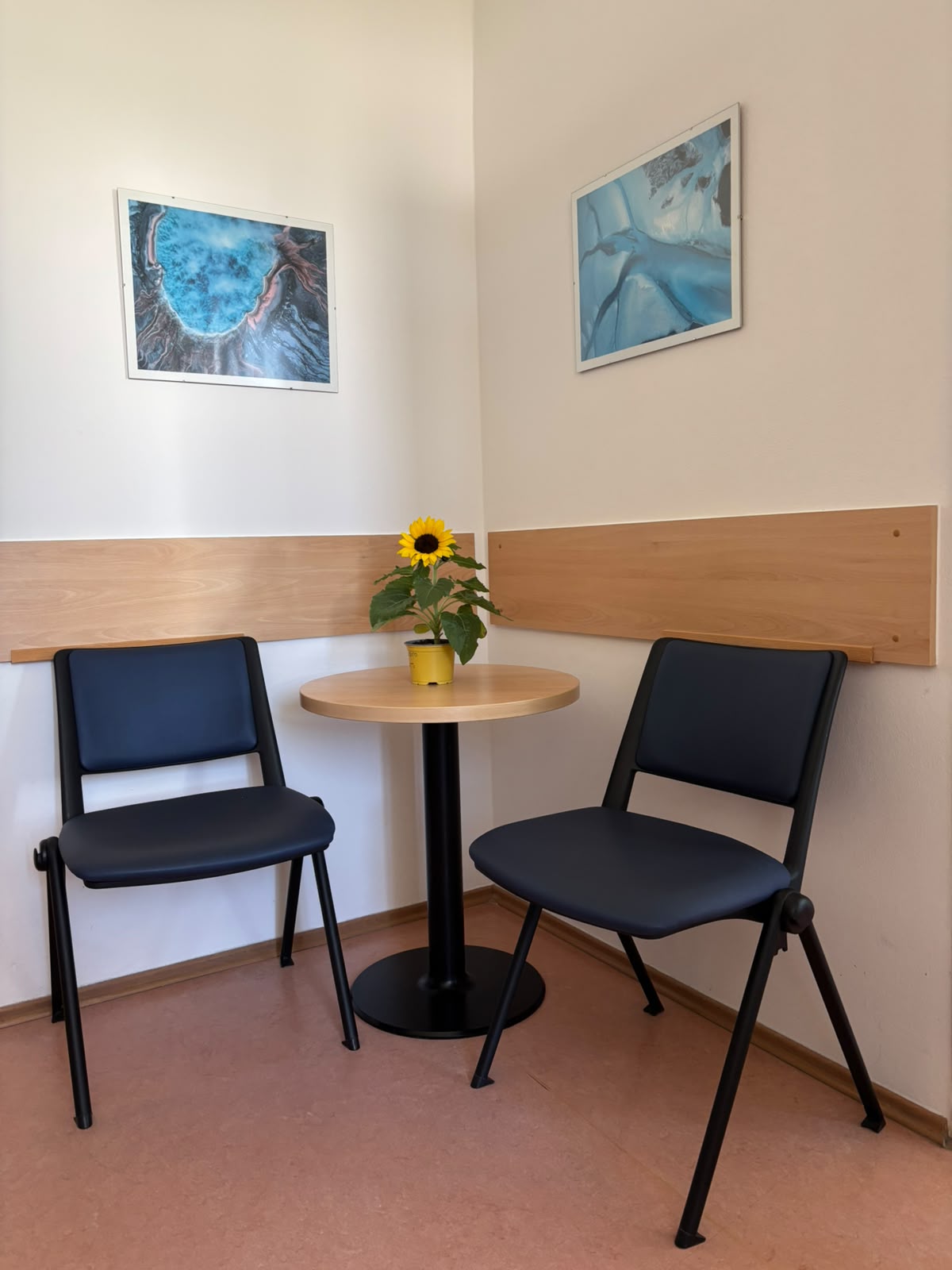 Čekárna gynekologické ordinace KapliceGYN v Kaplici